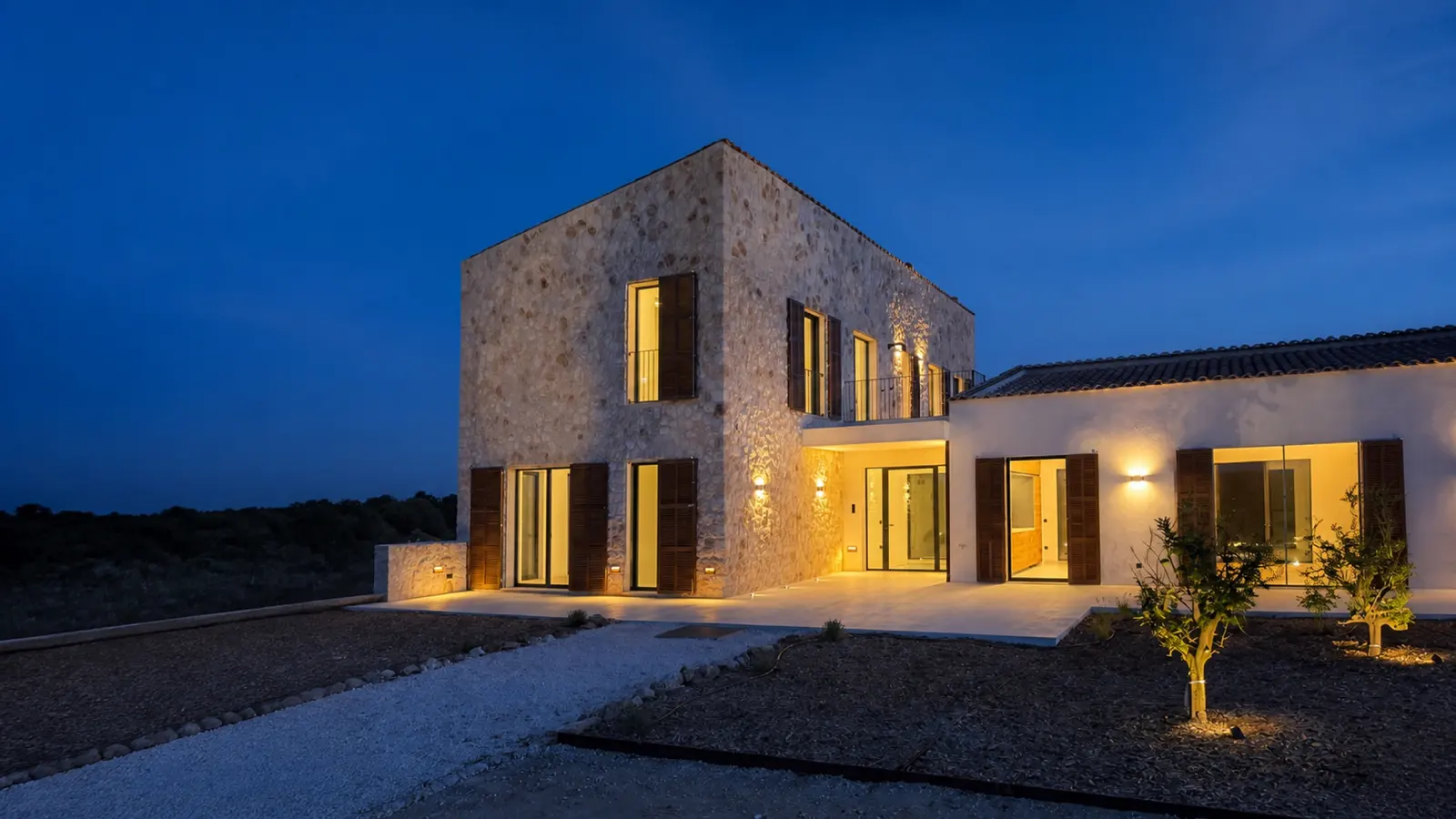 Son Catlar at blue hour